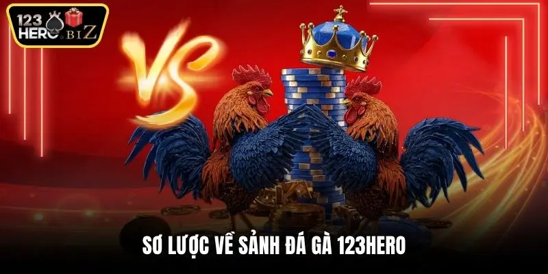Sơ lược về sảnh đá gà 123Hero