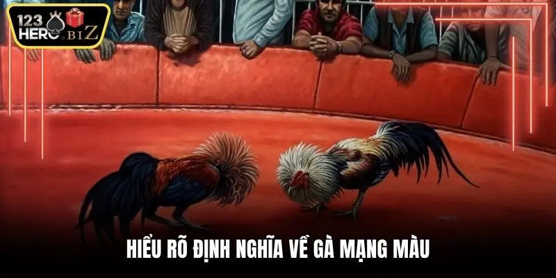 Hiểu rõ định nghĩa về gà mạng màu