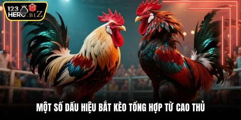 Một số dấu hiệu bắt kèo tổng hợp từ cao thủ