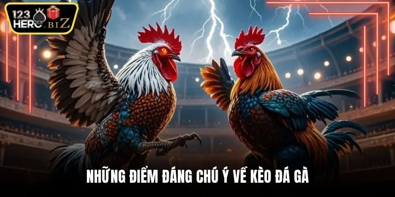 Những điểm đáng chú ý về kèo đá gà