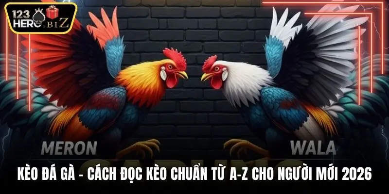 Kèo đá gà
