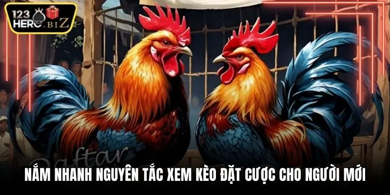 Nắm nhanh nguyên tắc xem kèo đặt cược cho người mới