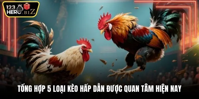 Tổng hợp 5 loại kèo hấp dẫn được quan tâm hiện nay