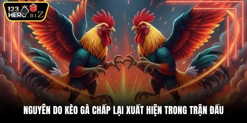 Nguyên do kèo gà chấp lại xuất hiện trong trận đấu