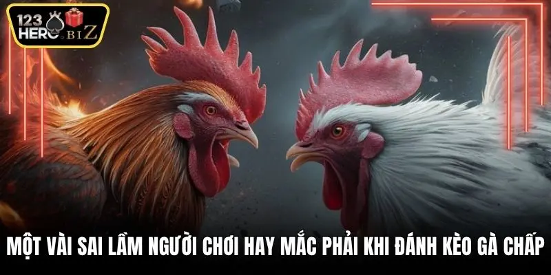 Một vài sai lầm người chơi hay mắc phải khi đánh kèo gà chấp