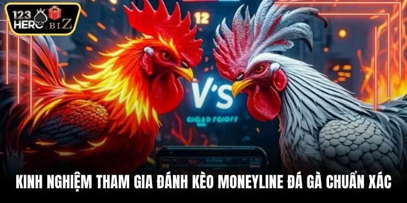 Kinh nghiệm tham gia đánh kèo Moneyline đá gà chuẩn xác
