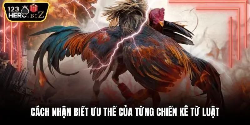 Cách nhận biết ưu thế của từng chiến kê từ luật