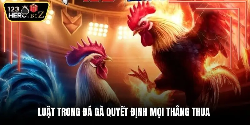 Luật trong đá gà quyết định mọi thắng thua 